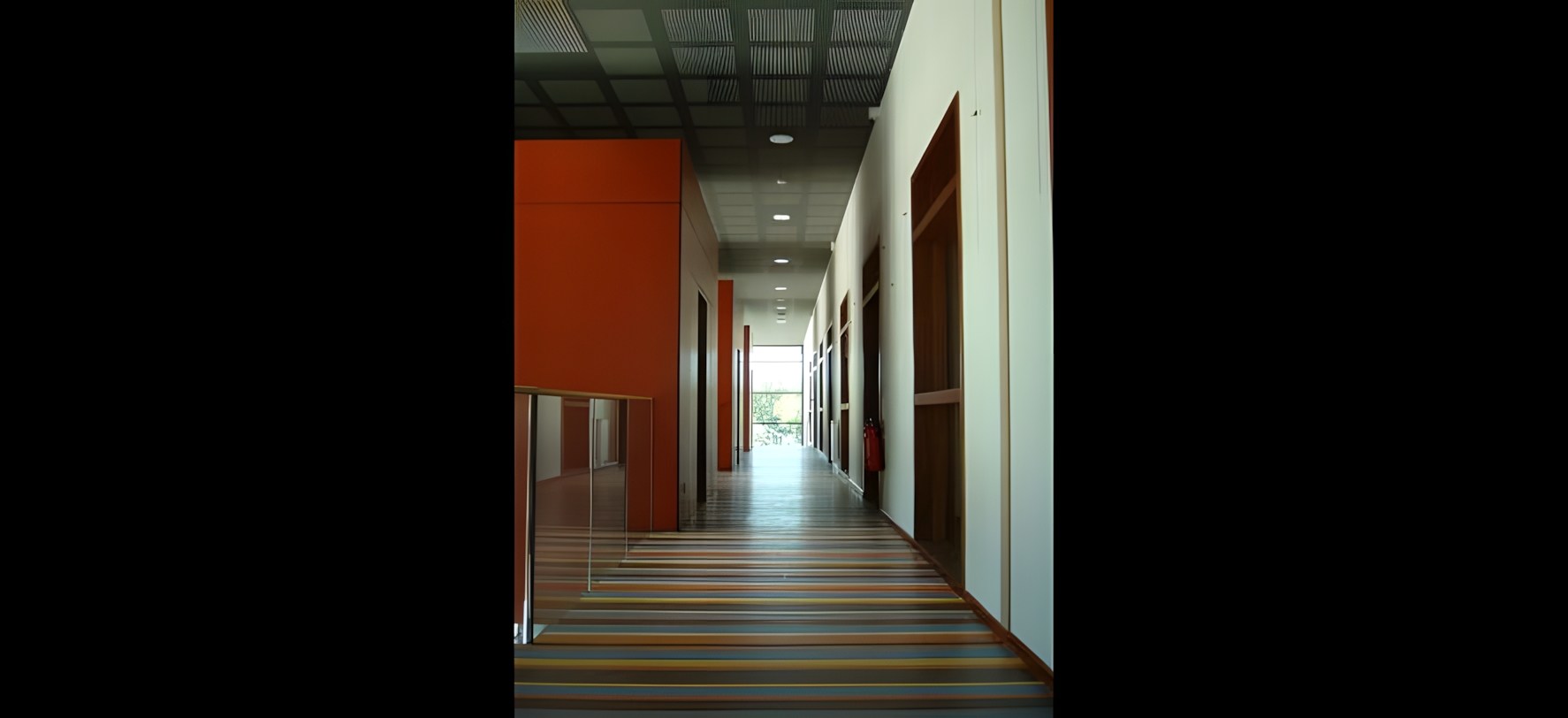 Vue 13