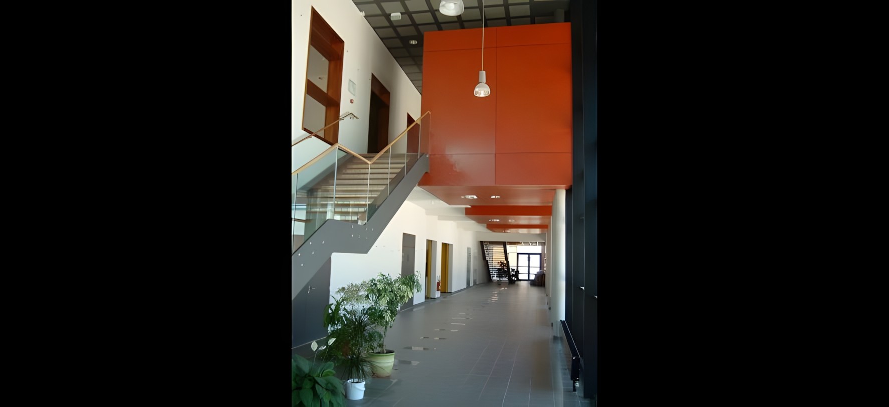 Vue 15